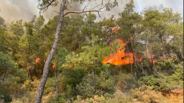 Fethiye'de orman yangını paniği Kabus art döndü Yerleşim yerlerine yaklaştı
