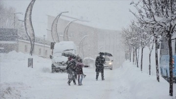 Van, Hakkari, Bitlis ve Muş düşüncesince derin kar uyarısı